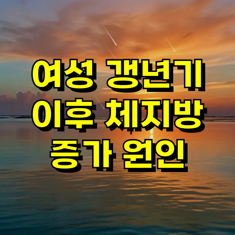 여성 갱년기 이후 체지방 증가 원인