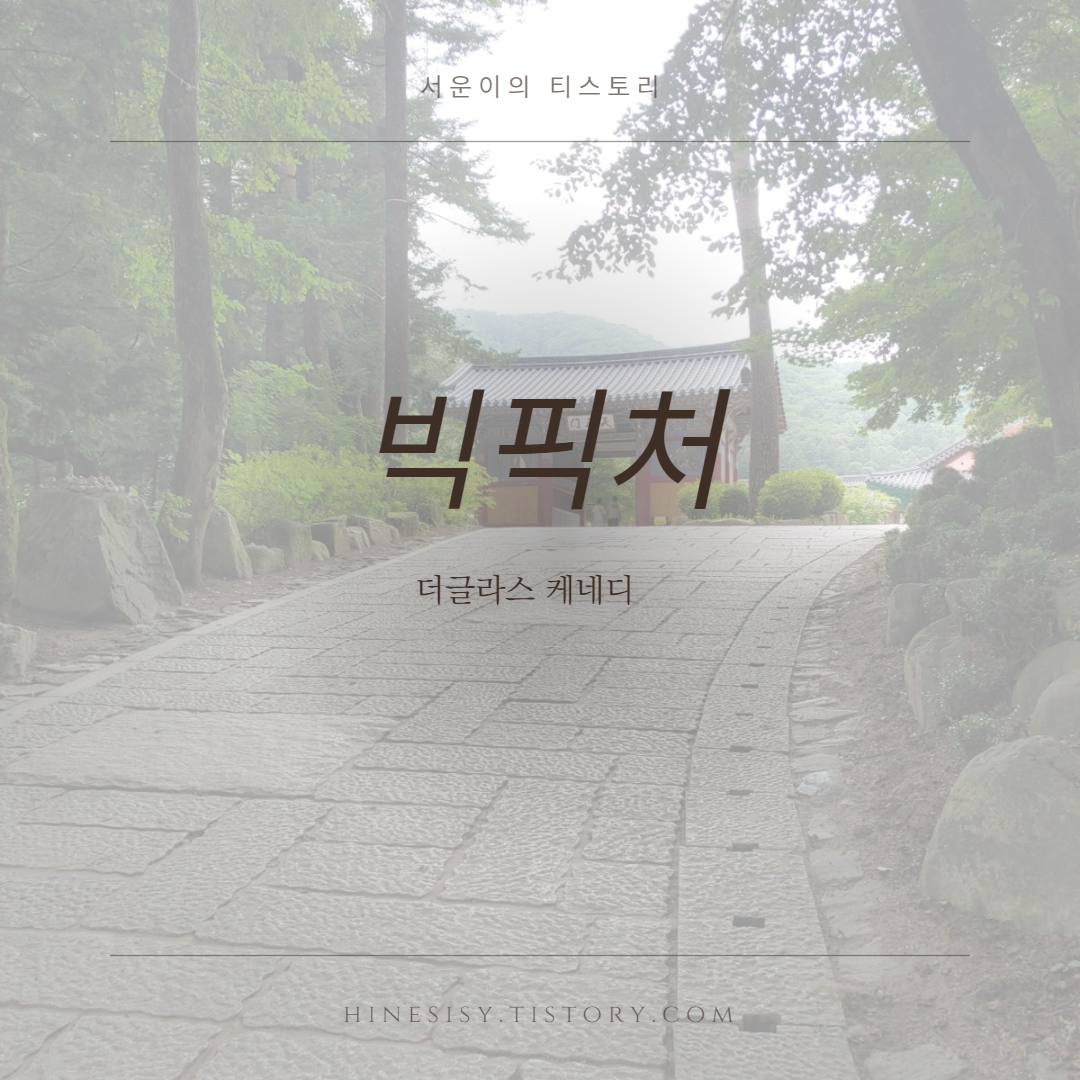  더글라스 케네디 저자 밝은세상 출판 소설책 빅픽처 리뷰