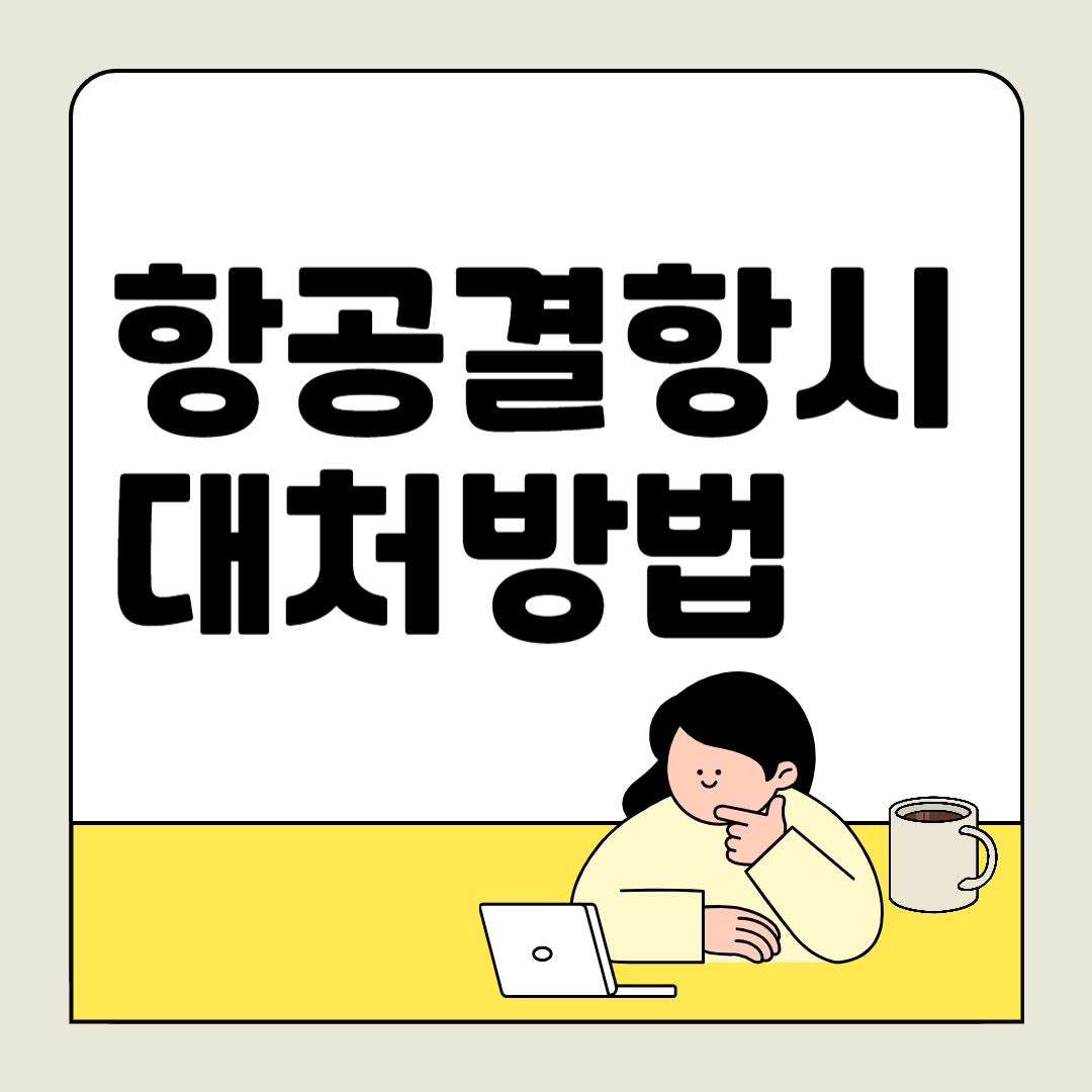 제주 공항 지원