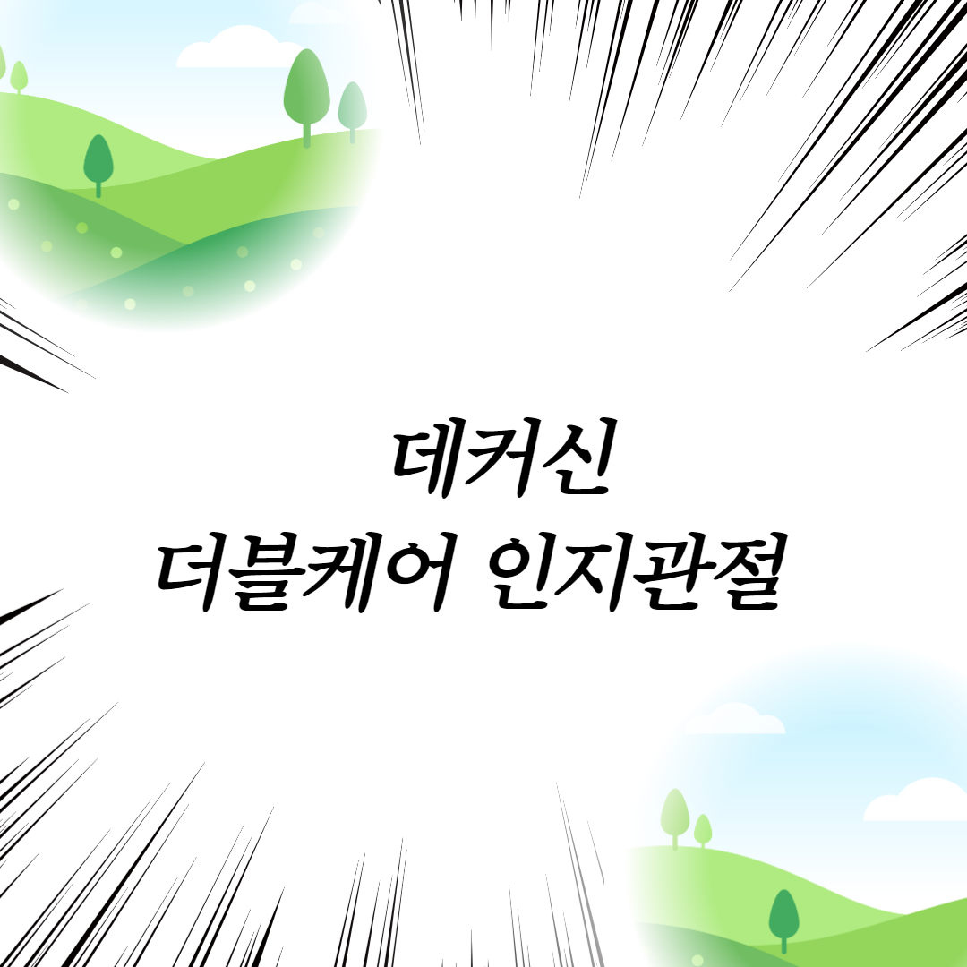  데커신 더블케어 인지관절