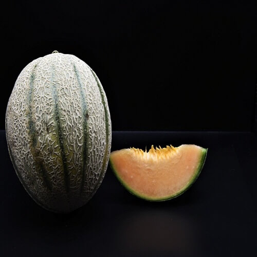 멜론 이미지