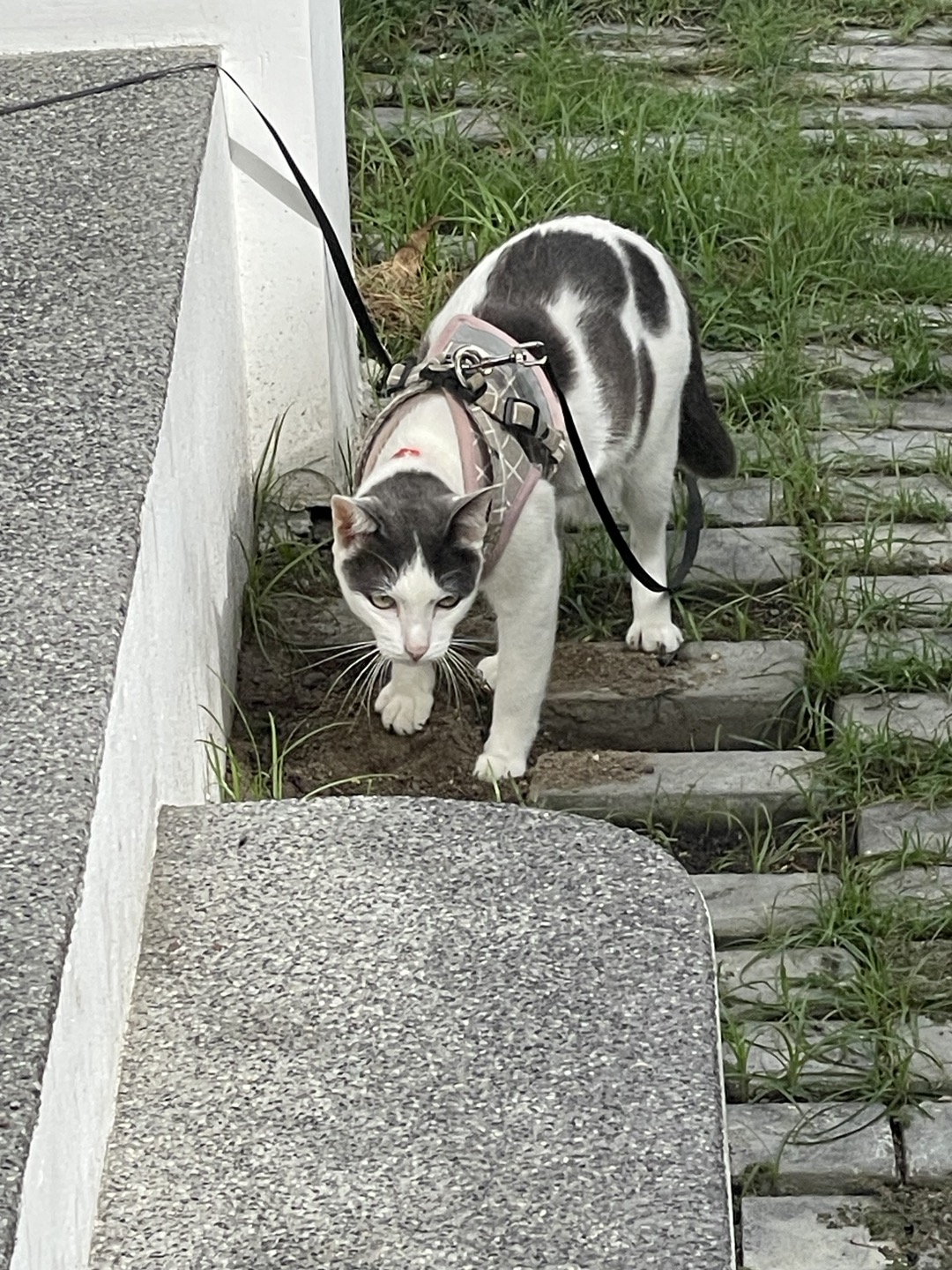 후엔(HUEN) 이미지