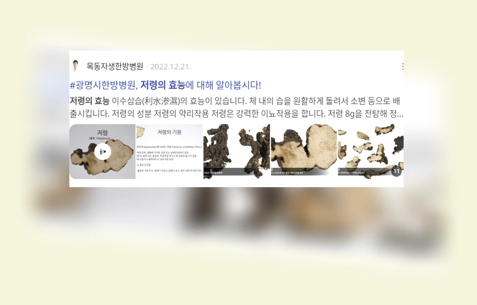 저령의 효능_2_subsection