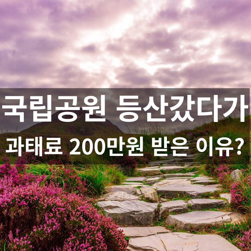 국립공원 흡연 음주 과태료 등산