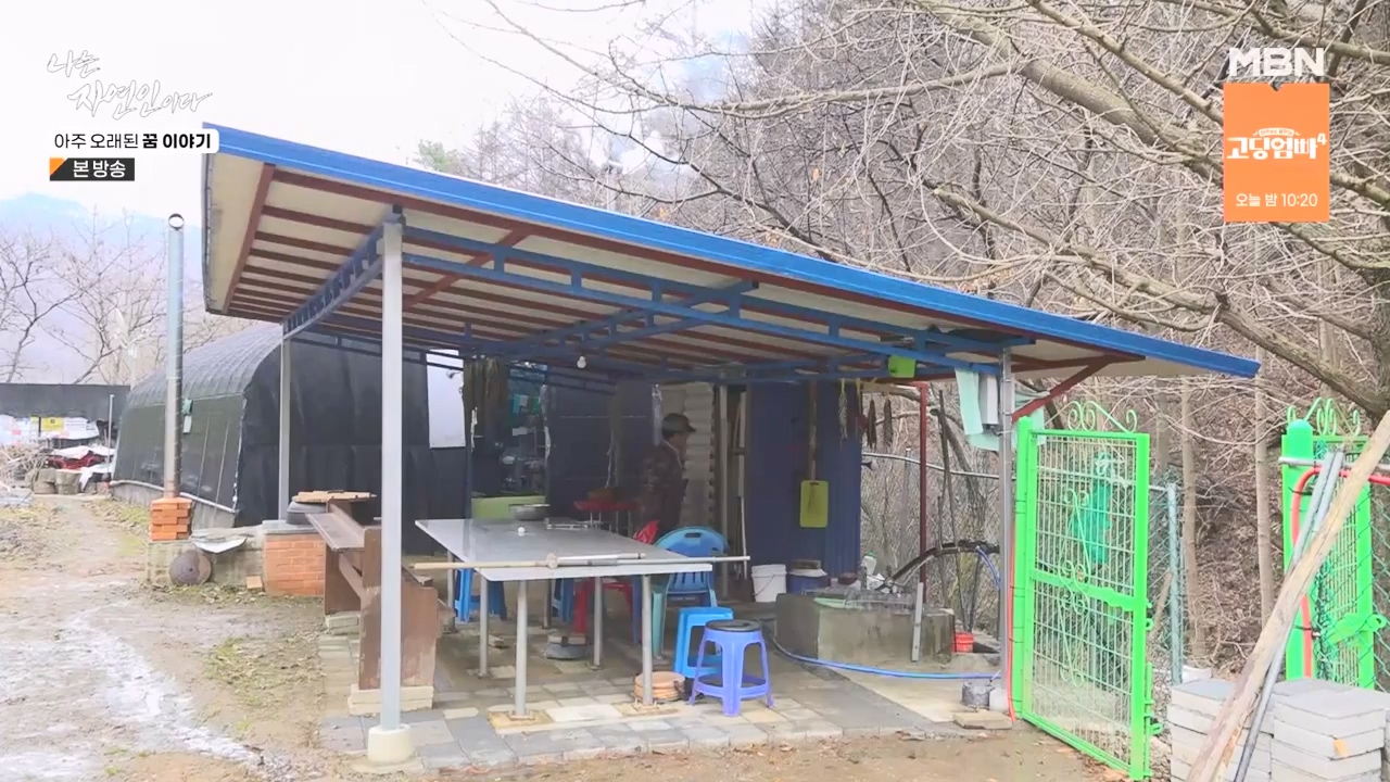 나는 자연인이다.E594.240222p-NEXT.mp4_20240222_195326.076.jpg