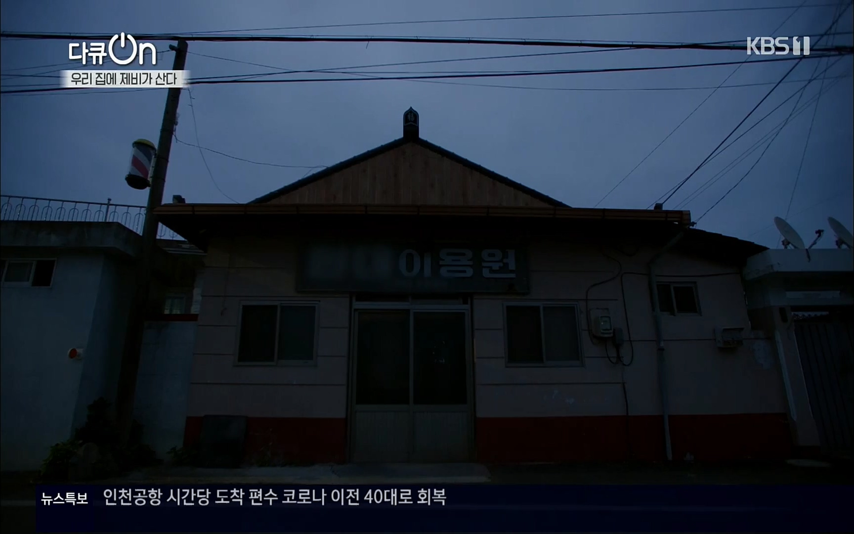 다큐 On.E143.220610p.H264-F1RST.mp4_20220613_202646.634.jpg