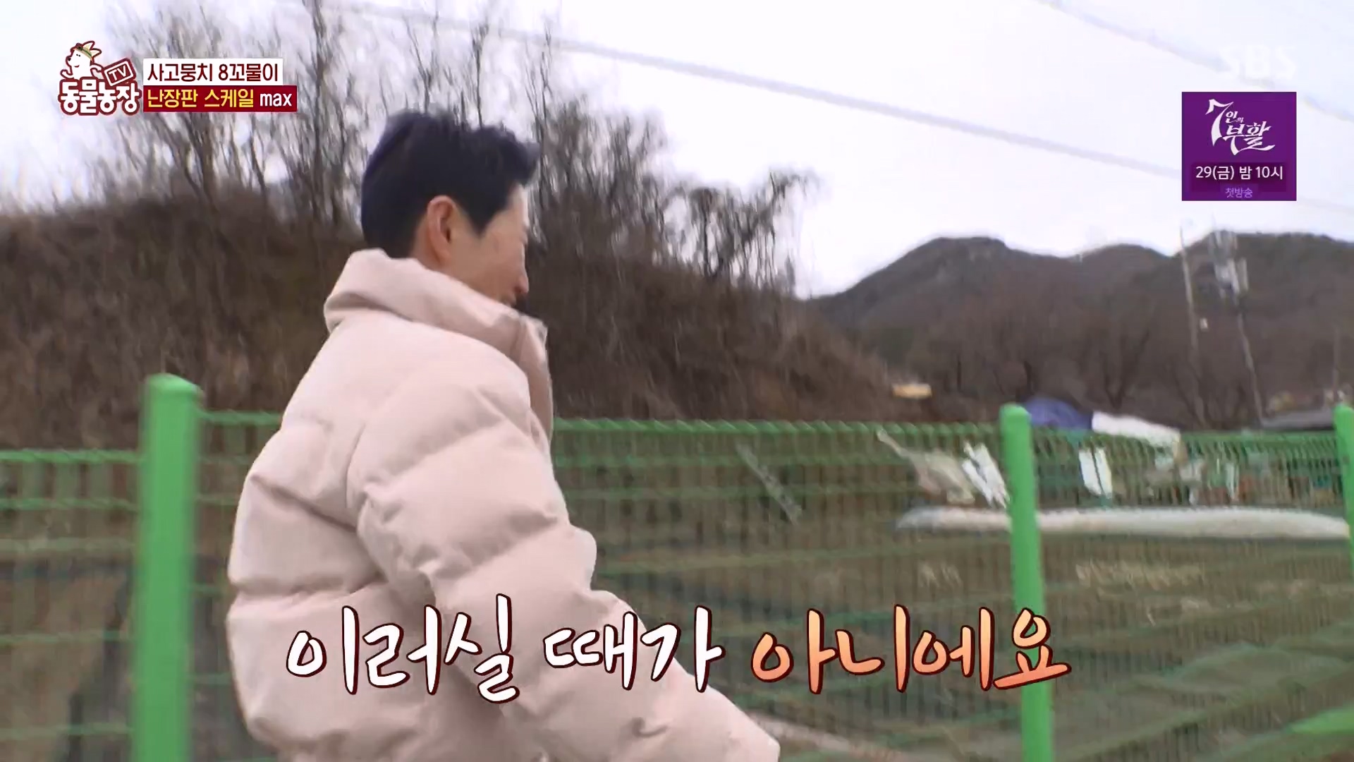 TV 동물농장.E1164.240324p-NEXT.mp4_20240324_172335.732.jpg