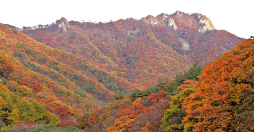 주왕산단풍-주왕산맛집-주왕산등산코스