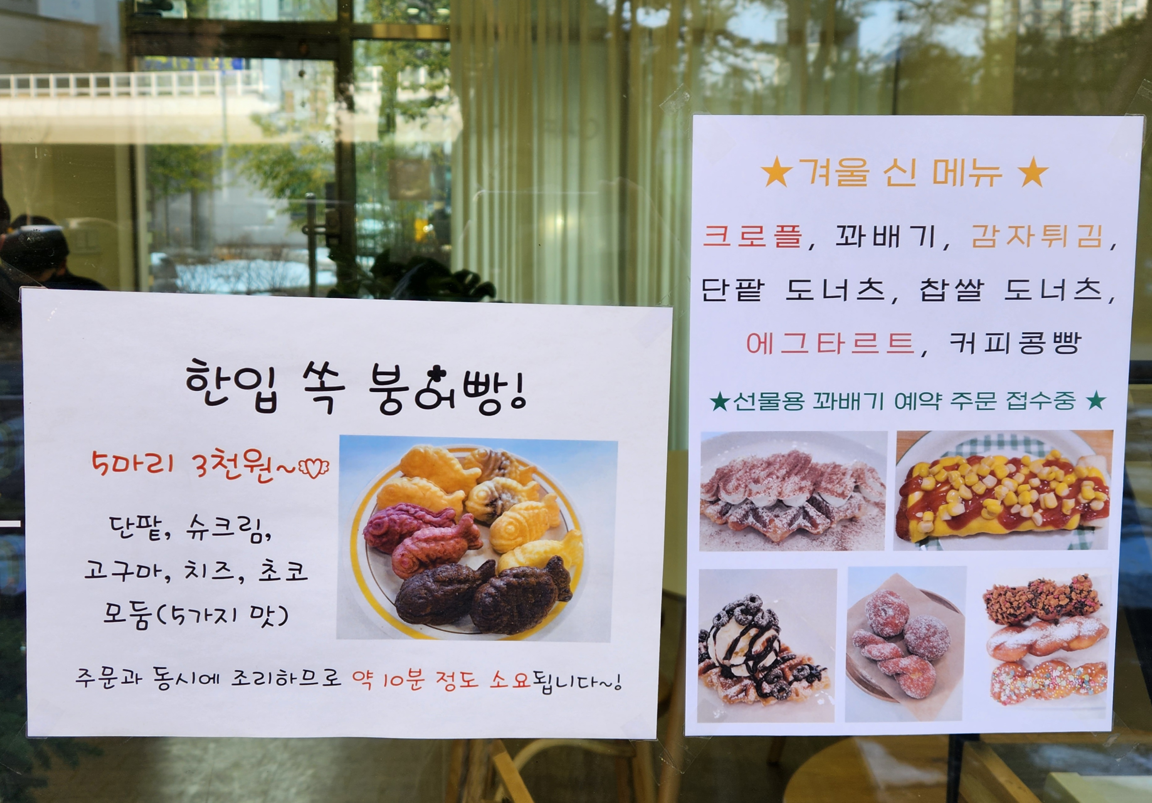 수경재배식물 카페