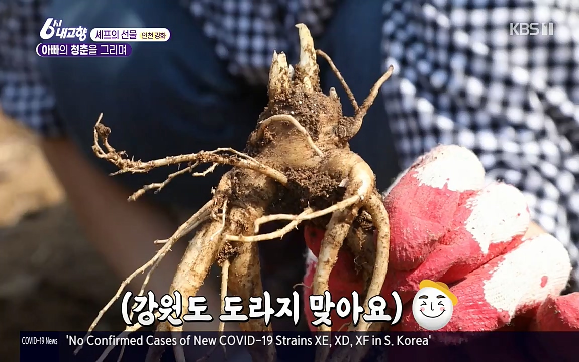 6시 내고향.E7515.220409p-NEXT.mp4_20220414_163558.738.jpg