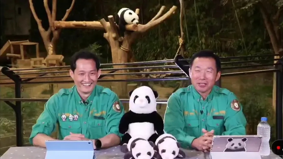 강바오님 원픽이 루이바오 & 후이바오 라고요?!!!  #뿌빠tv #라이브