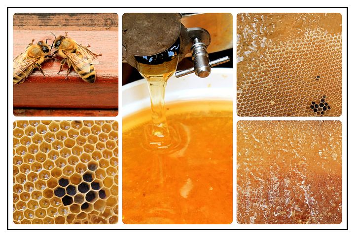 꿀의 효능