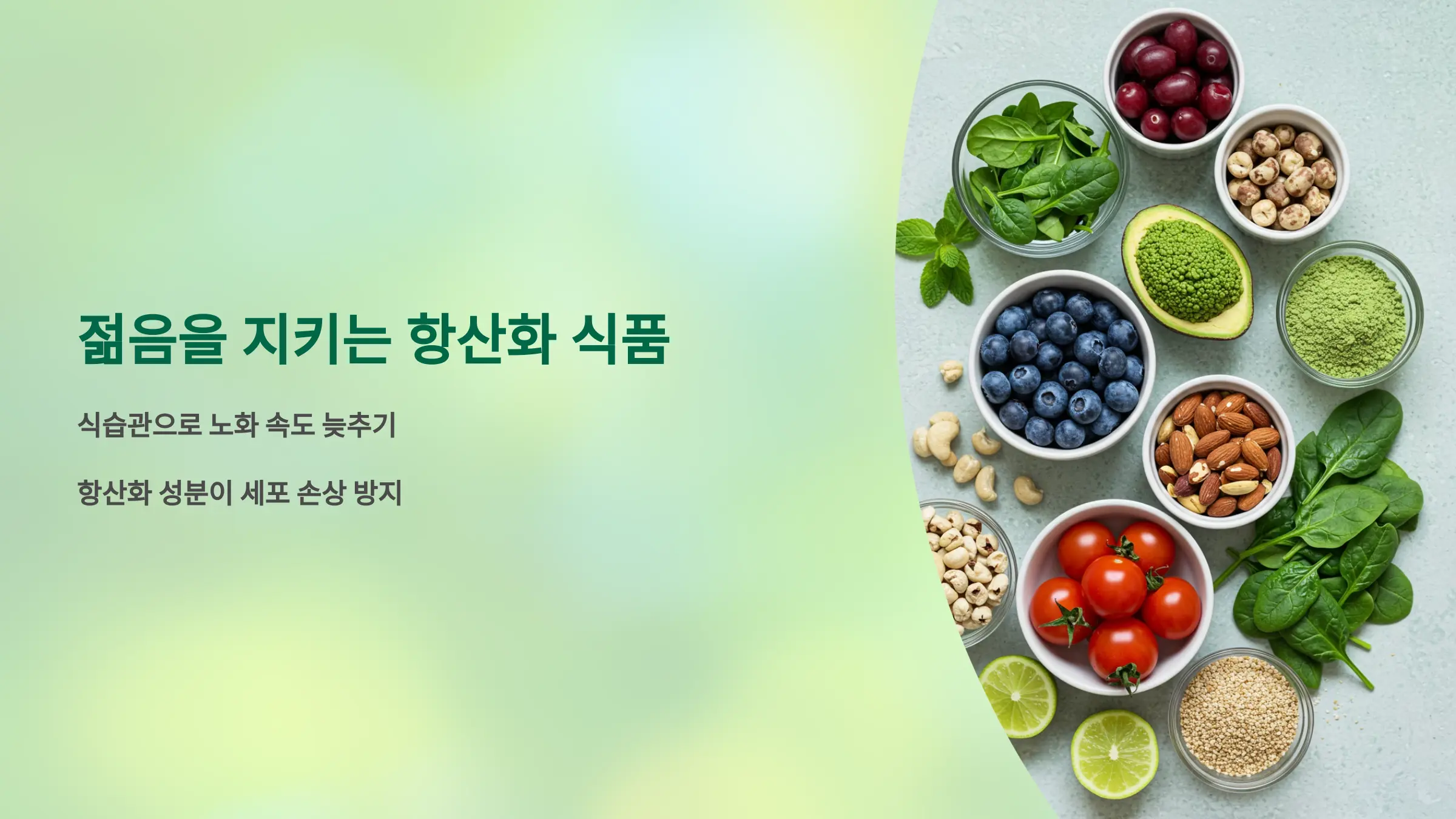 노화를 늦추는 항산화 식품과 젊음을 지키는 섭취 전략