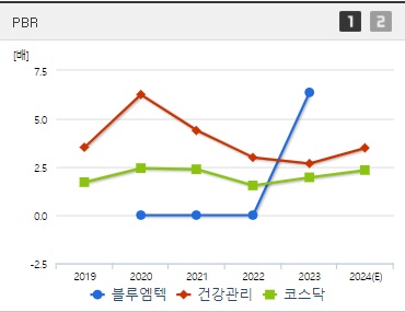 블루엠텍 주가 PBR