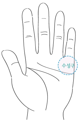 수성구