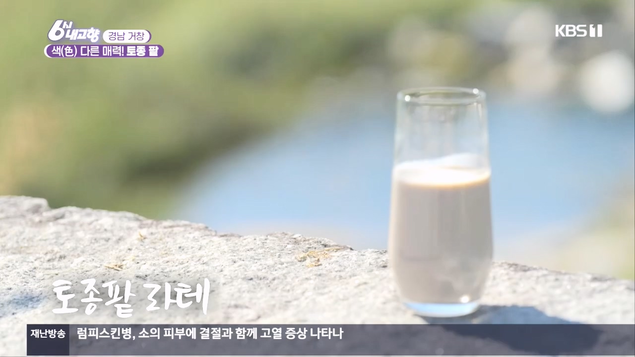 6시 내고향.E7897.231025p.H264-F1RST.mp4_20231025_202859.933.jpg