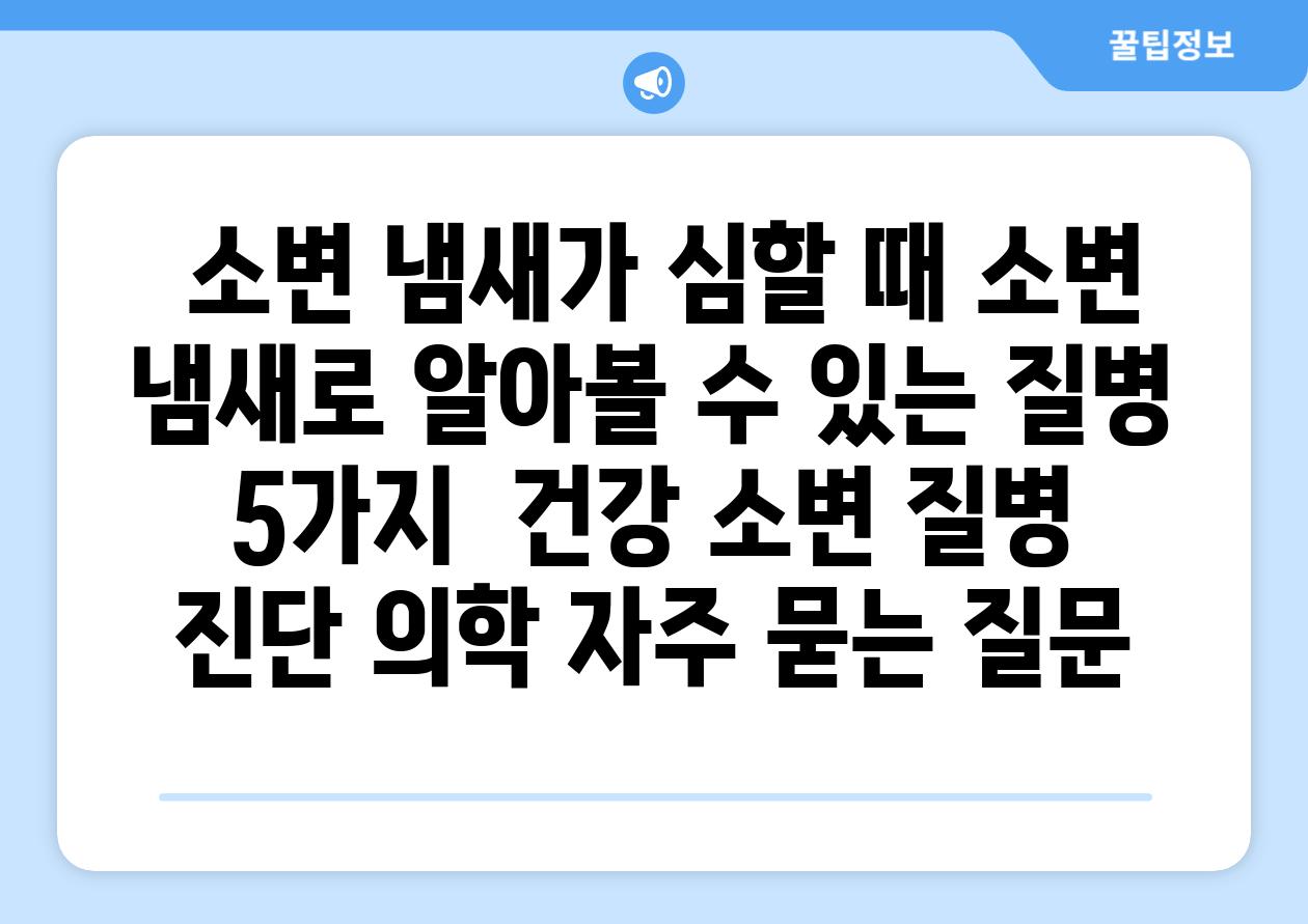  소변 냄새가 심할 때 소변 냄새로 알아볼 수 있는 질병 5가지  건강 소변 질병 진단 의학 자주 묻는 질문