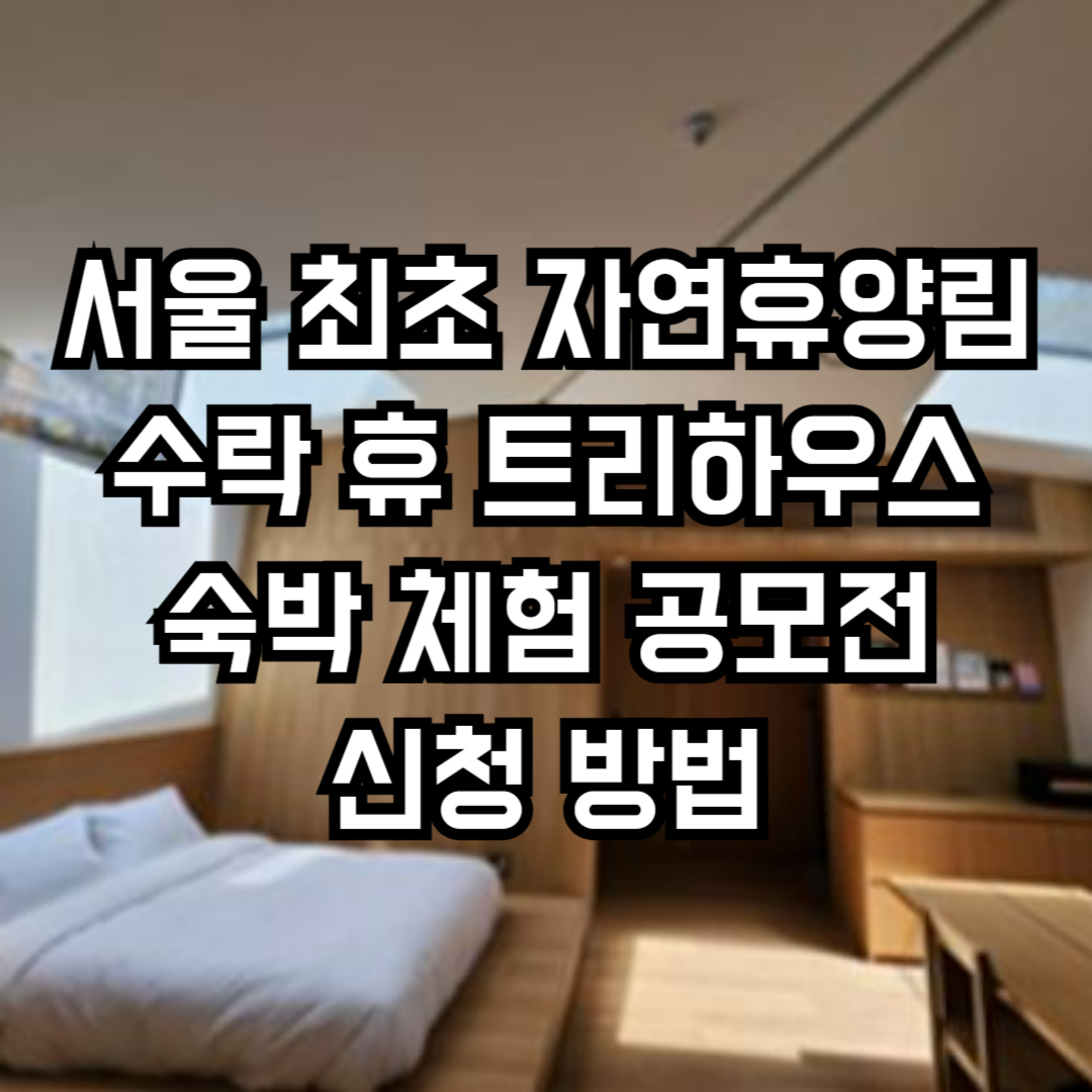 서울 최초 자연휴양림 수락 휴 트리하우스 숙박 체험 공모전 신청 방법