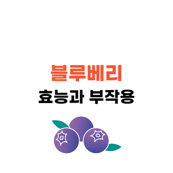 슈퍼푸드 블루베리 효능 부작용