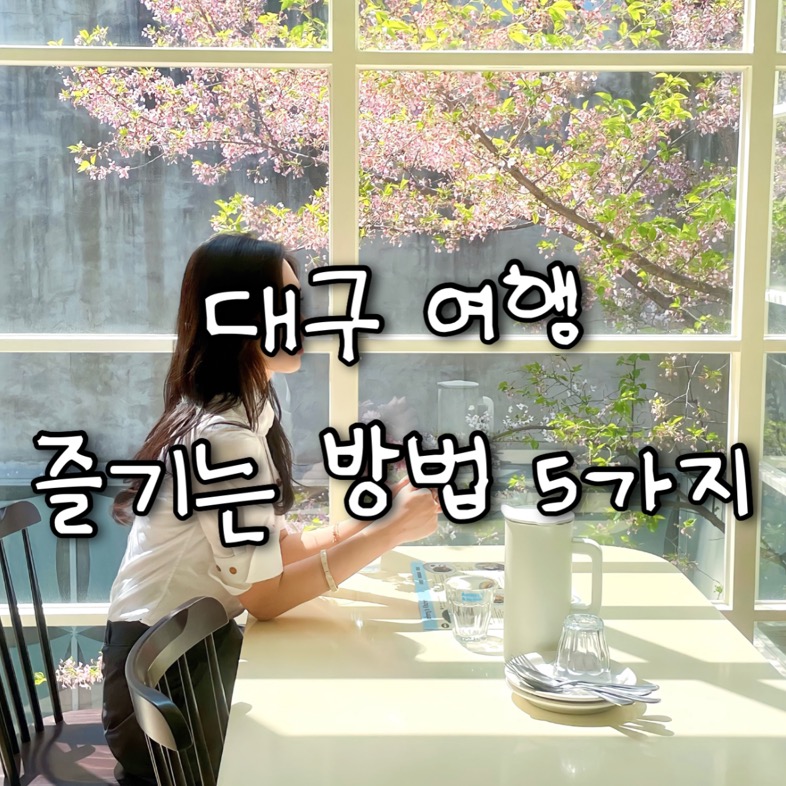 대구 여행을 즐기는 방법 5가지 추천코스