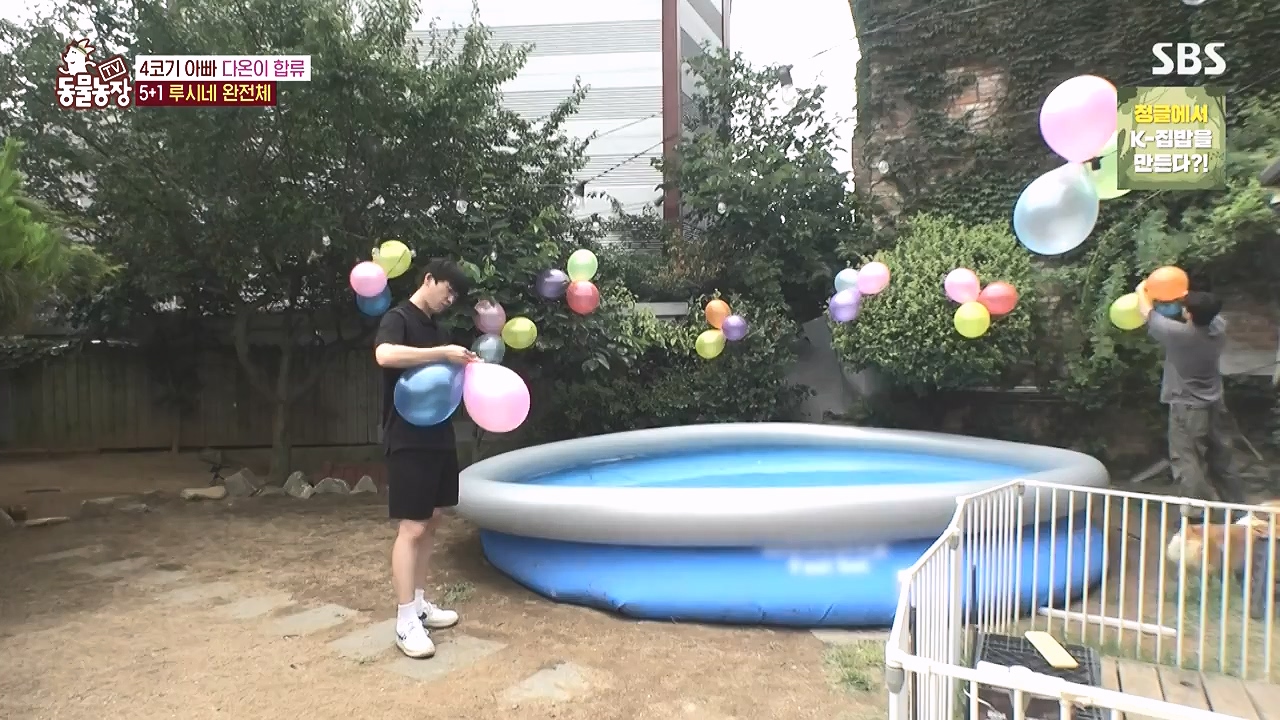TV 동물농장.E1183.240805p-NEXT.mp4_20240804_154934.876.jpg
