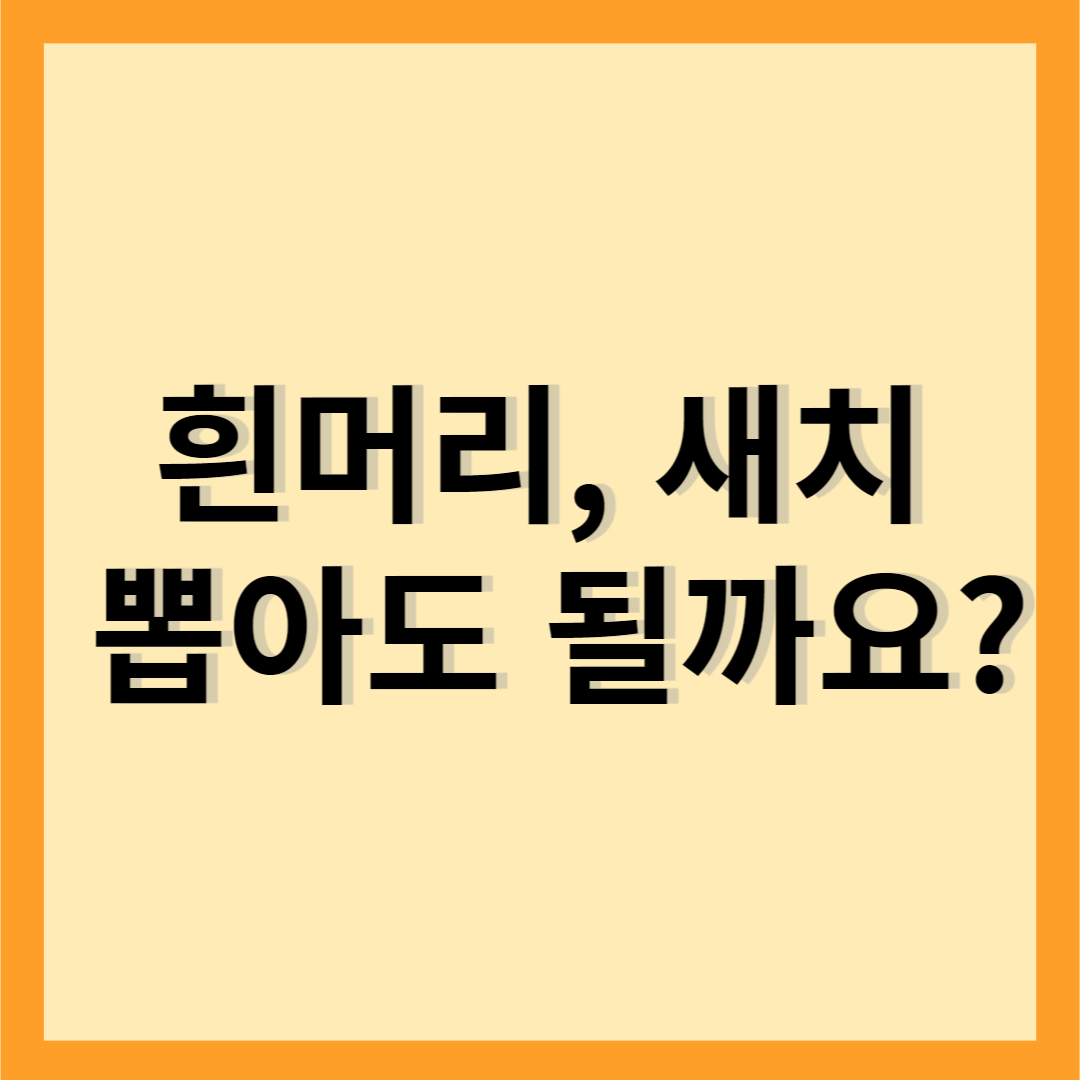  흰머리, 새치 뽑아도 될까요? (ft. 예방법)