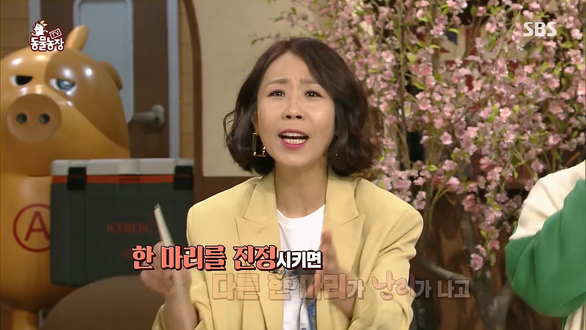 TV 동물농장.E1112.230319p.H264-F1RST.mp4_20230319_175152.508.jpg