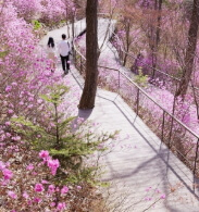 화담숲 예약방법