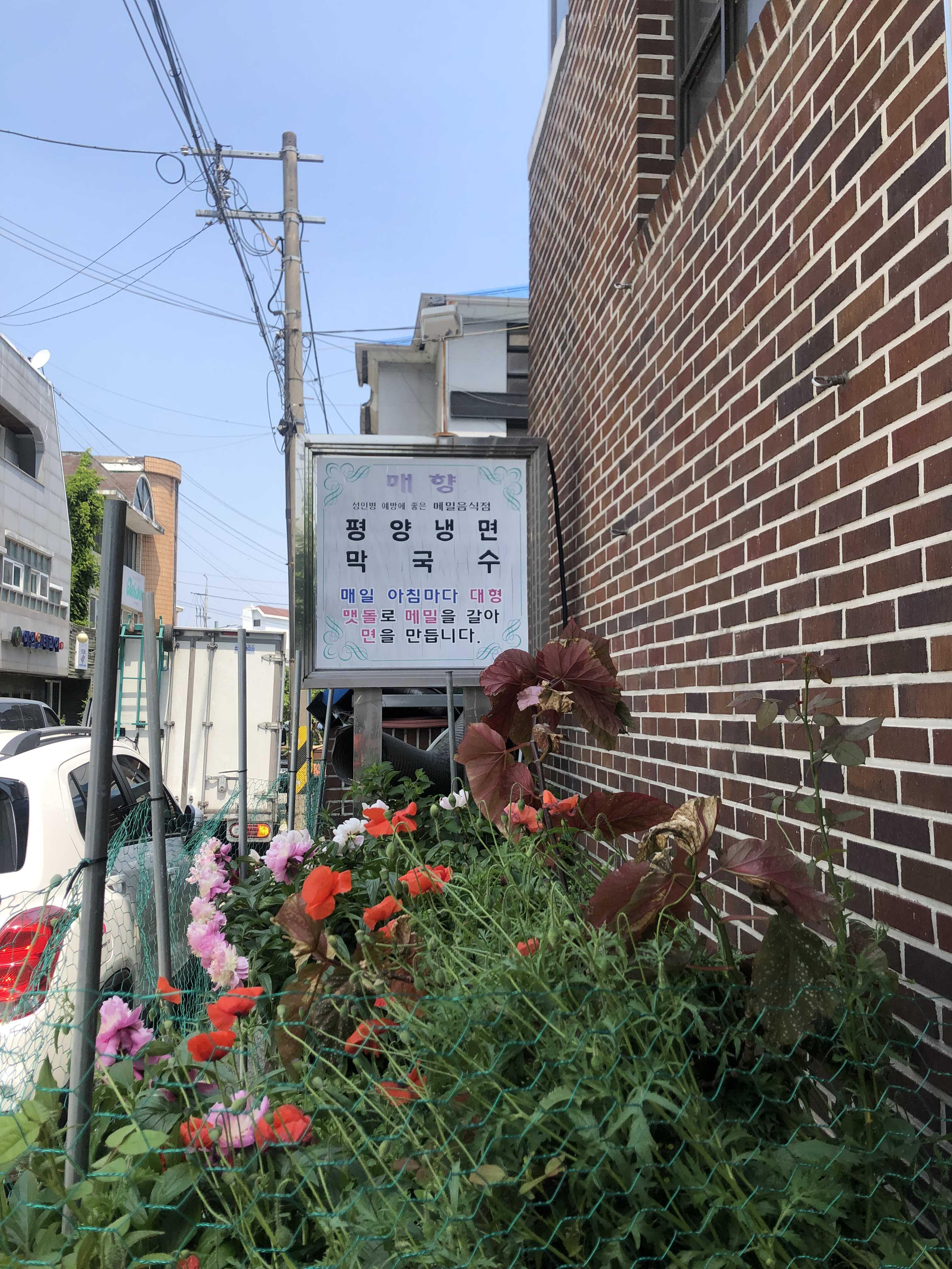  공주 매향 막국수 맛집 건강하게