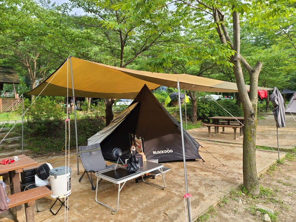  원주 치악산 구룡자동차 야영장 솔로 캠핑