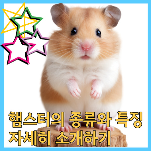  햄스터의 종류와 특징 자세히 소개하기