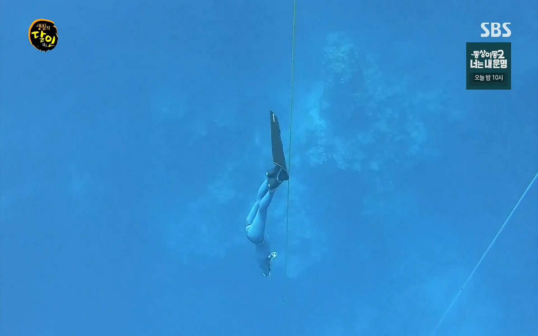 생활의 달인.E849.220627p.H264-F1RST.mp4_20220628_201150.778.jpg