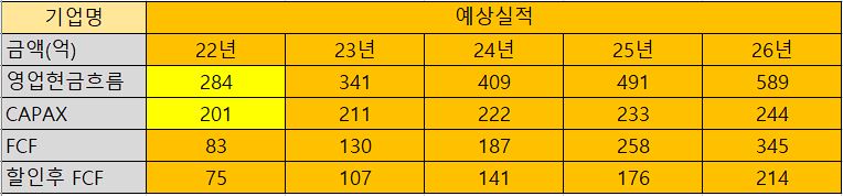 금양 내재가치분석표