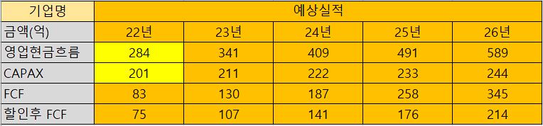 금양 내재가치분석표