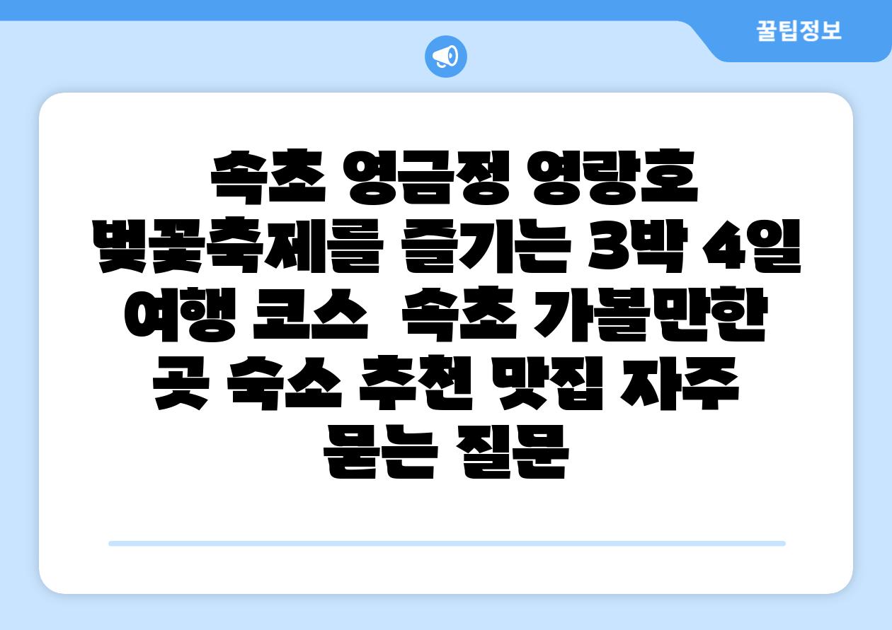  속초 영금정 영랑호 벚꽃축제를 즐기는 3박 4일 여행 코스  속초 가볼만한 곳 숙소 추천 맛집 자주 묻는 질문