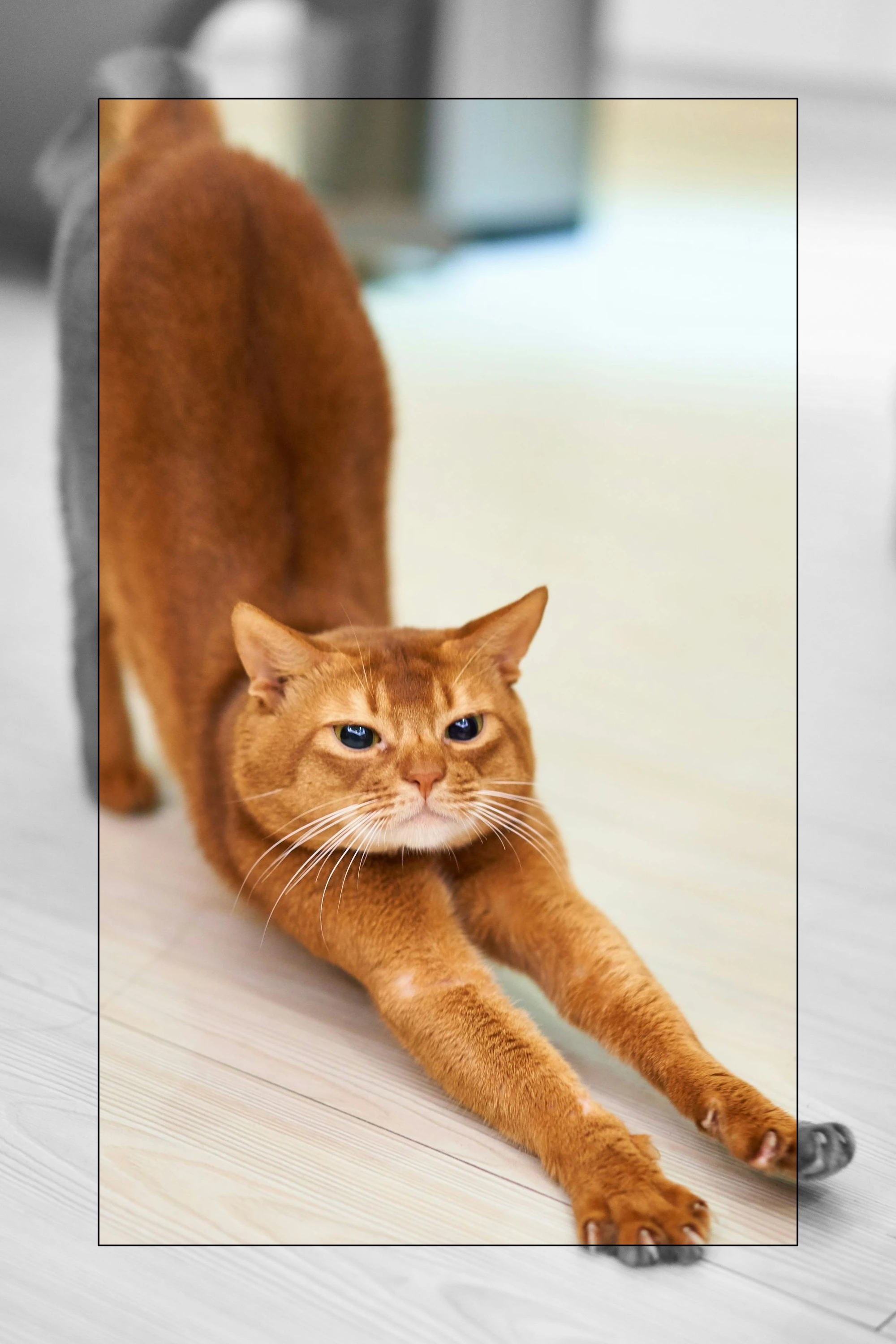 이미지_3