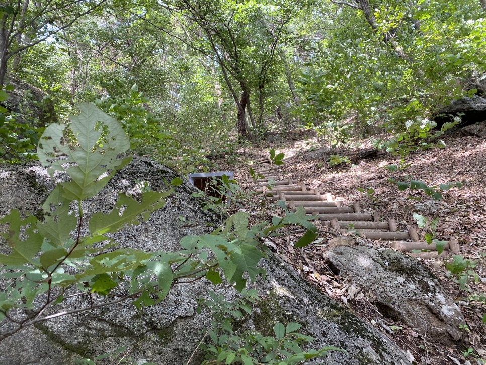 홍길동이 다녀간 13