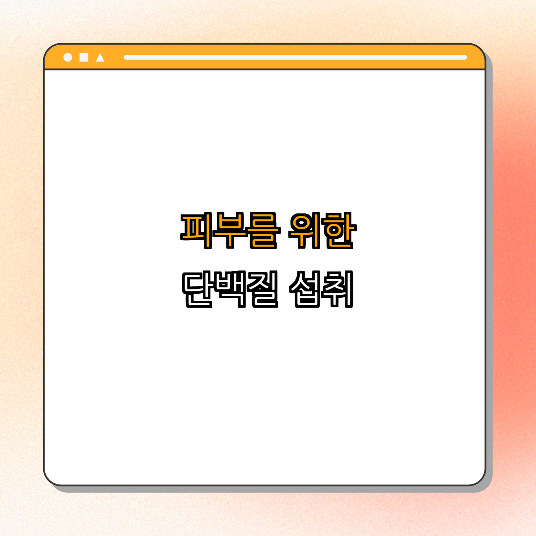 2. 피부 개선에 도움이 되는 단백질