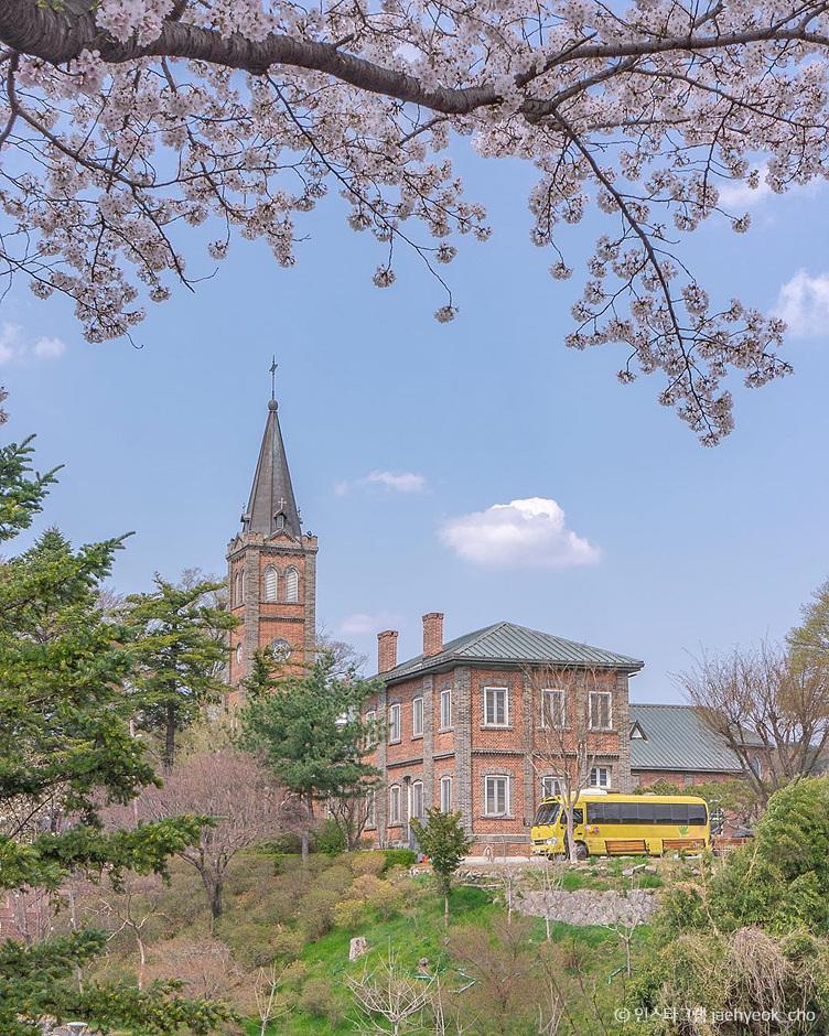 벚꽃 추천 명소