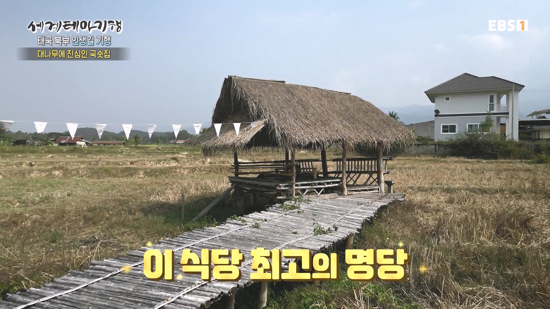 세계테마기행 240222 태국 북부 인생길 기행 -대찬 인생, 소박한 행복0p.mp4_20240807_200737.024.jpg