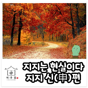 지지 신(申)의 특징과 관련한 포스팅의 썸네일