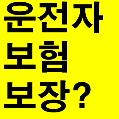  운전자보험 보장내용 확인