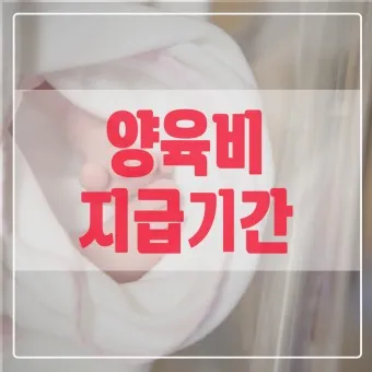 2025 양육비 선지급제 정보_14
