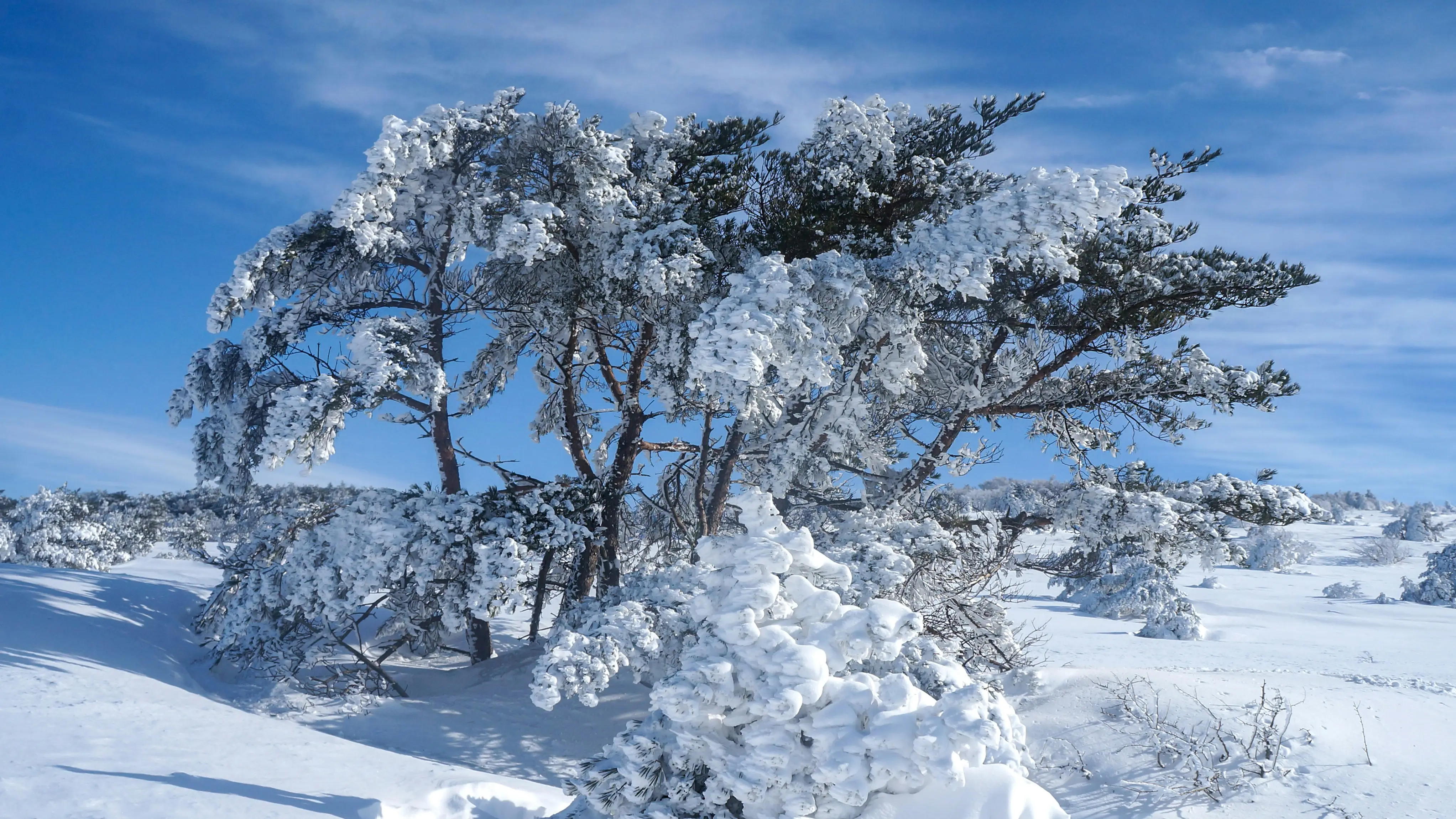 2. 제주도 한라산 국립공원