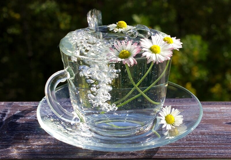 물이-가득찬-컵에-꽃이-담겨있는-사진