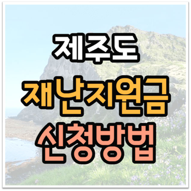 제주 재난 지원금 지원대상 신청방법