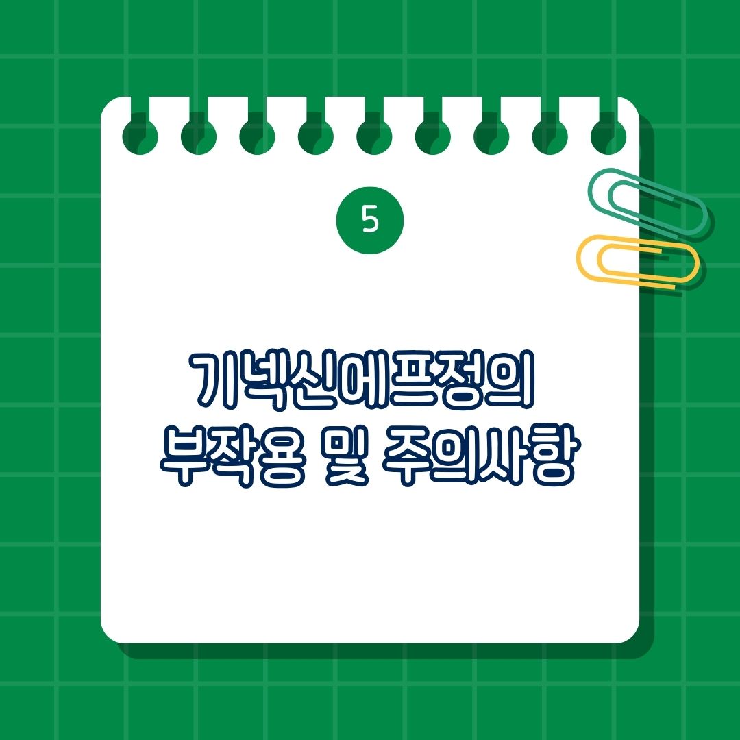 기넥신에프정의 부작용 및 주의사항은 소화기 계통, 신경계, 혈액 계통, 두통, 어지러움, 위장 불편감, 메스꺼움, 설사, 코피, 잇몸 출혈, 멍