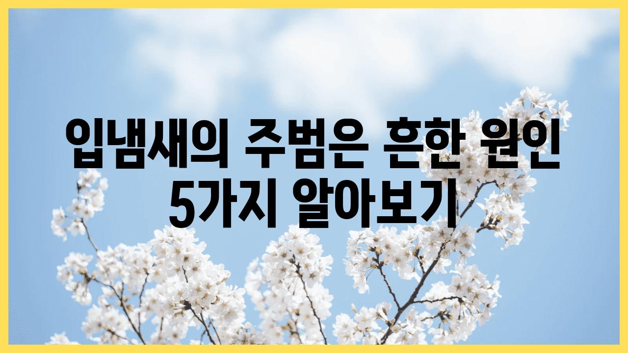 입냄새의 주범은 흔한 원인 5가지 알아보기