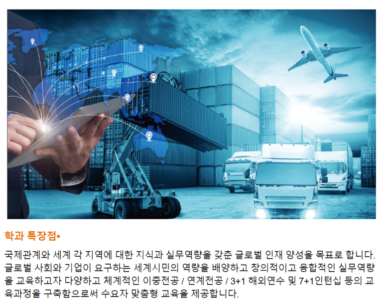 정치외교학과 등급 정치외교학과 정시 준비를 3