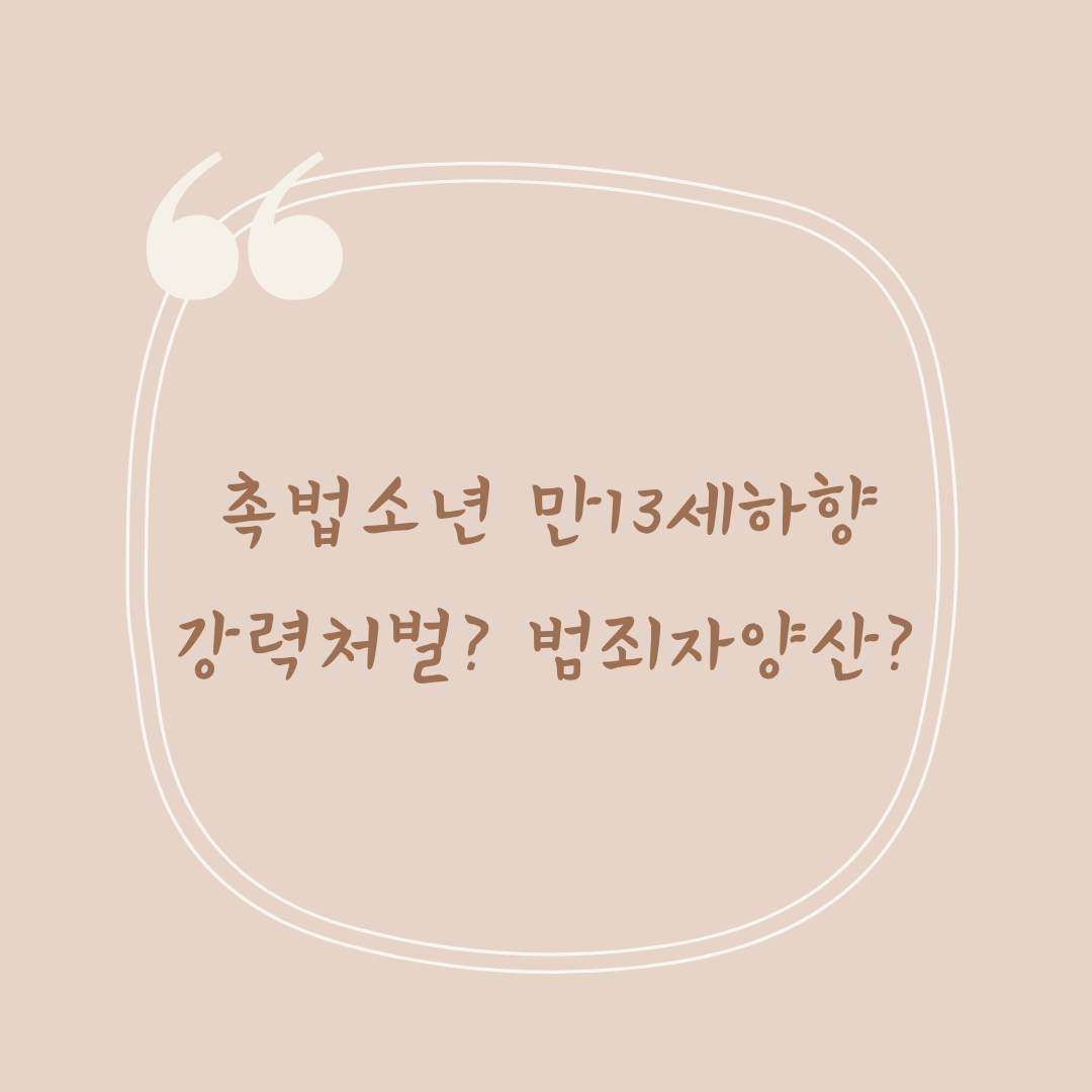  [사회 이슈] 촉법소년 만 13세하향  강력처벌? 범죄자양산?